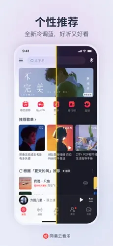 网易云音乐下载